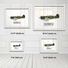 Принт на склі «Винищувач Curtiss P-40 14 Ескадрилья RNZAF 1942 рік»