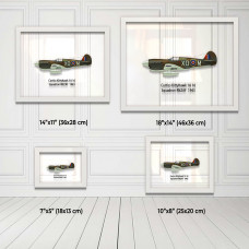 Принт на склі «Літак Curtiss P-40 16 Ескадрилья RNZAF 1943 рік»