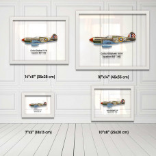 Принт на склі «Винищувач Curtiss P-40 94 Ескадрилья RAF 1942 рік»