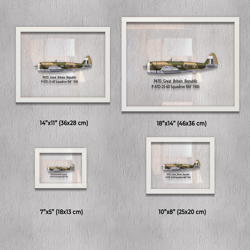 Принт на склі «Літак Republic P-47D Thunderbolt 60 Ескадрилья 1945 рік»