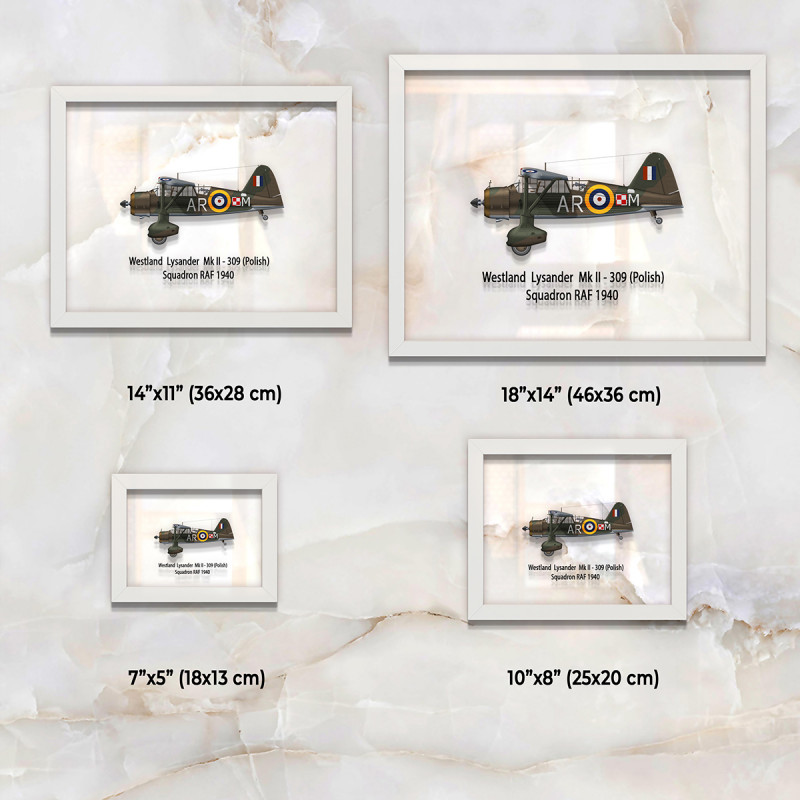 Принт на склі «Літак Westland Lysander Mk. II 309 Польська Ескадрилья 1940 рік»