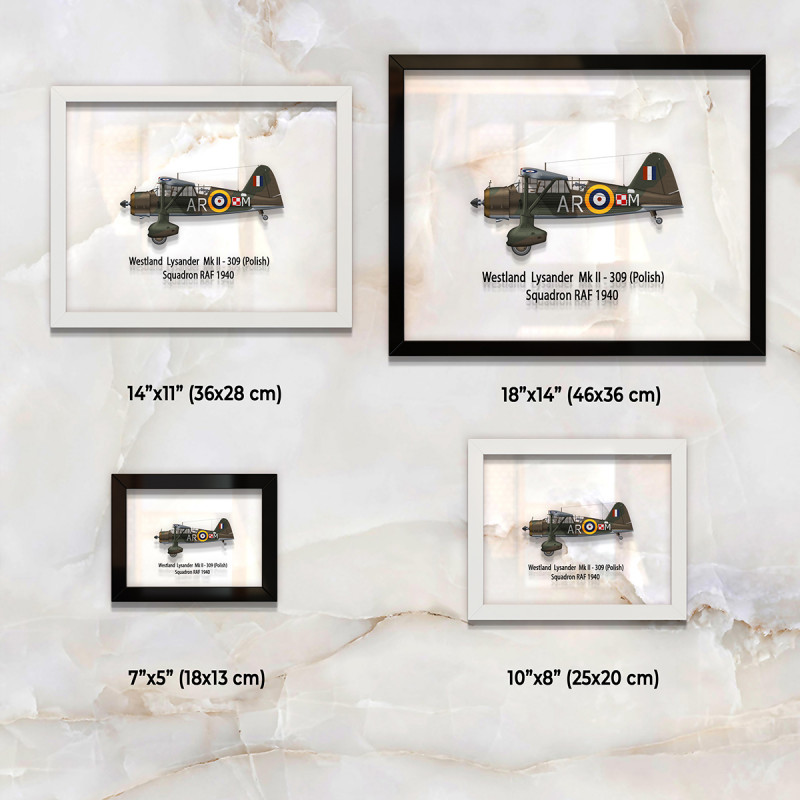 Принт на склі «Літак Westland Lysander Mk. II 309 Польська Ескадрилья 1940 рік»